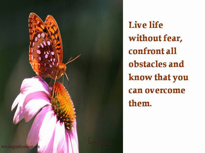 utterfly
inspiring
story