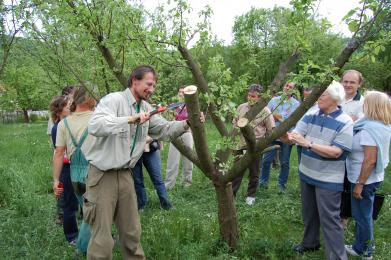 Ovocnářské kurzy v Hostětíně: Poradíme vám, jak pečovat o ovocné stromy