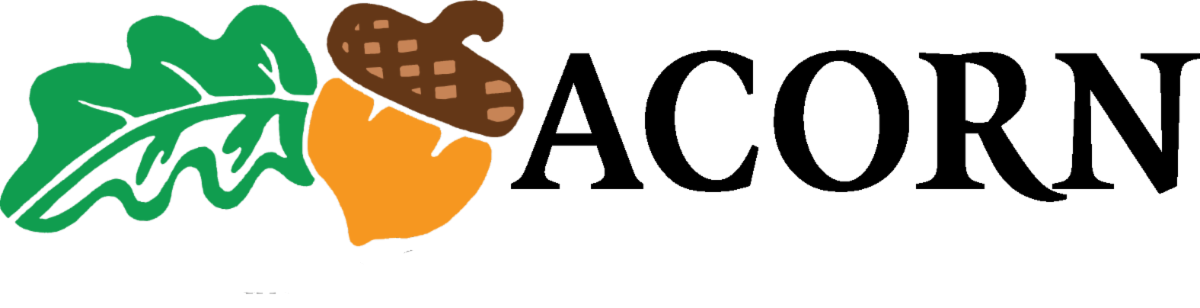 acorn logo.png
