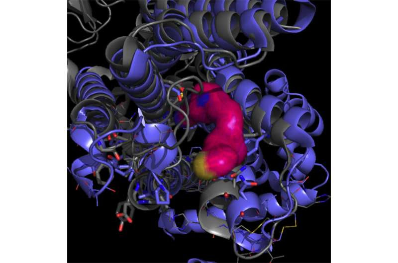 Compound shows promise for minimizing erratic movements in Parkinson's patients