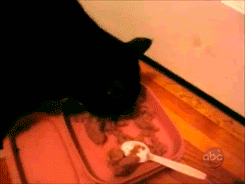 Daily GIFs Mix, part 206