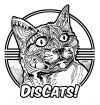 Disc Golf | DisCats