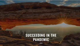 Succeeding in the Pandemic image