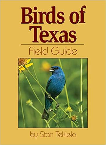 EBOOK Birds of Texas Field Guide (Bird Identification Guides)