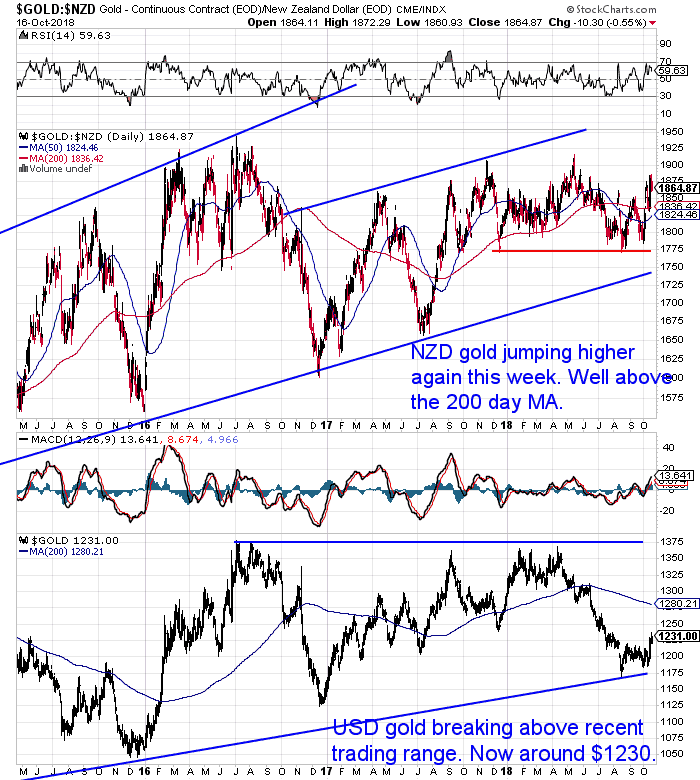 NZ Dollar Gold Chart