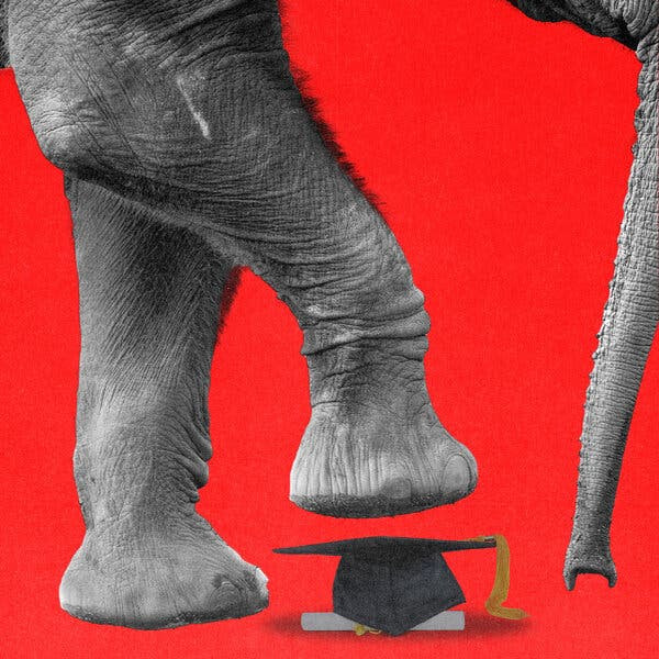 A photo illustration of an elephant leg about to step on a graduation mortarboard and scroll. The background is bright red.