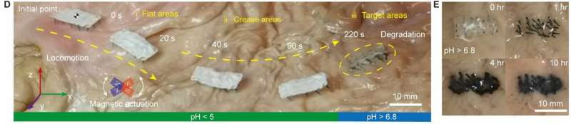 Nanofiber-based biodegradable millirobot that can release different drugs in targeted positions in the intestines