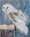 Barn Owl - Posted on Monday, January 5, 2015 by Clair Hartmann