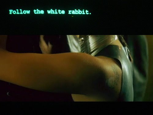 D.I.D. Part I: Follow the White Rabbit