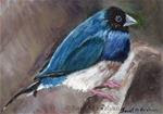 Black Headed Gouldian Finch ACEO - Posted on Saturday, February 7, 2015 by Janet Graham