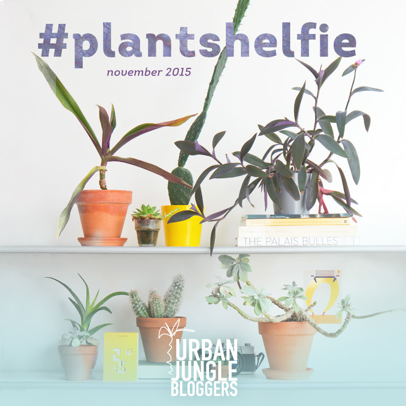 Ujb Shelfie usine