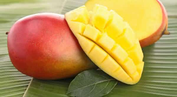 Taiyo-No-Tamago mangas entre as frutas mais caras do mundo
