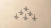 AFET-AFCO Joint Meeting © European Parliament Shadows of fighter jets on sand