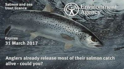 Salmon and sea trout licence
