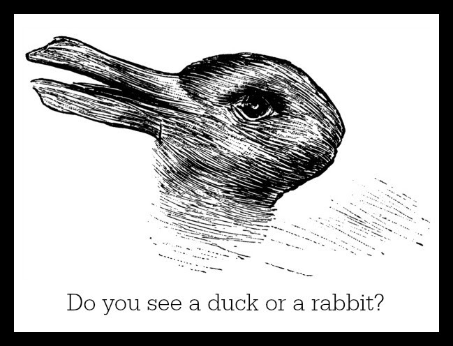 rabbit-duck-illusion-psychology