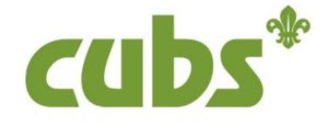 new cub logo