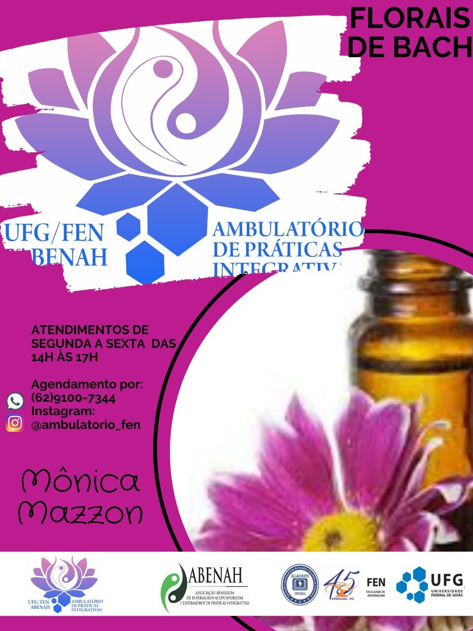 PIC FEN UFG 2