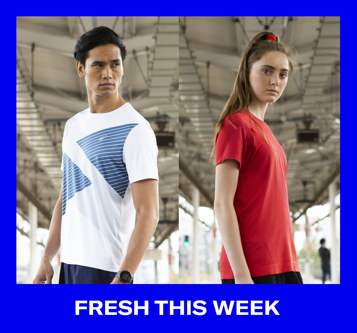 New Arrivals