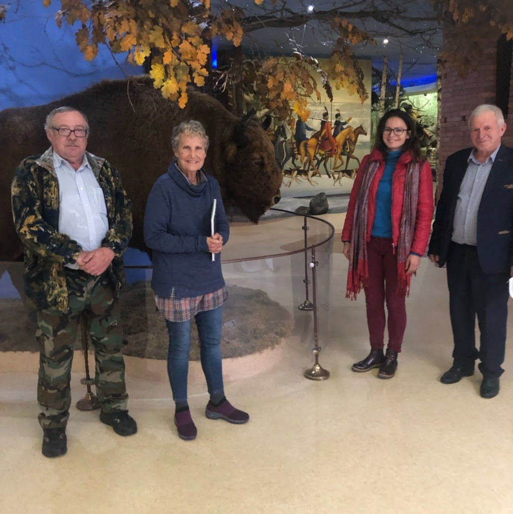 Four adults standing in front of a stuffed bison in a museum