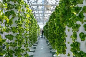 14 greenhouse inside long