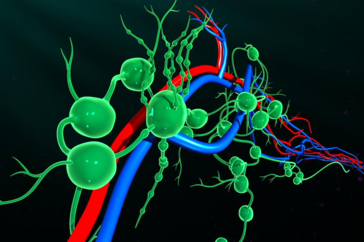 A new mRNA cancer vaccine is designed to target the lymph nodes to induce a stronger immune response