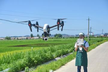 China enseña a 100 millones de agricultores a usar teléfonos inteligentes