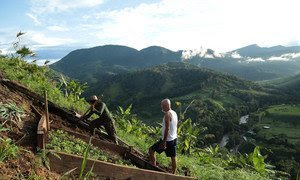 Antiguos combatientes de las FARC trabajando la tierra.