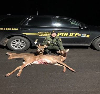 ECO poses in front of vehicle with two confiscated bucks