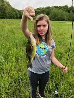 A girl holding a yellow bass on a hook