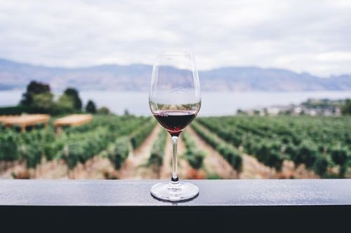 Claves para entender un vino