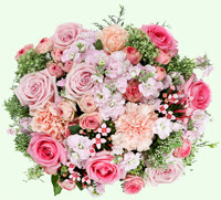 762c518c-3ef9-4f4a-9eff-b691f3371efc.jpg