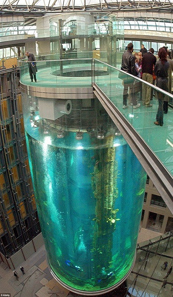 Aquadom - thủy cung hình trụ lớn nhất thế giới