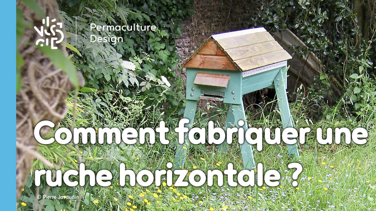 Explications et plans de Pierre Javaudin, expert en apiculture naturelle, pour fabriquer une ruche horizontale avec des matériaux de bricolage simples