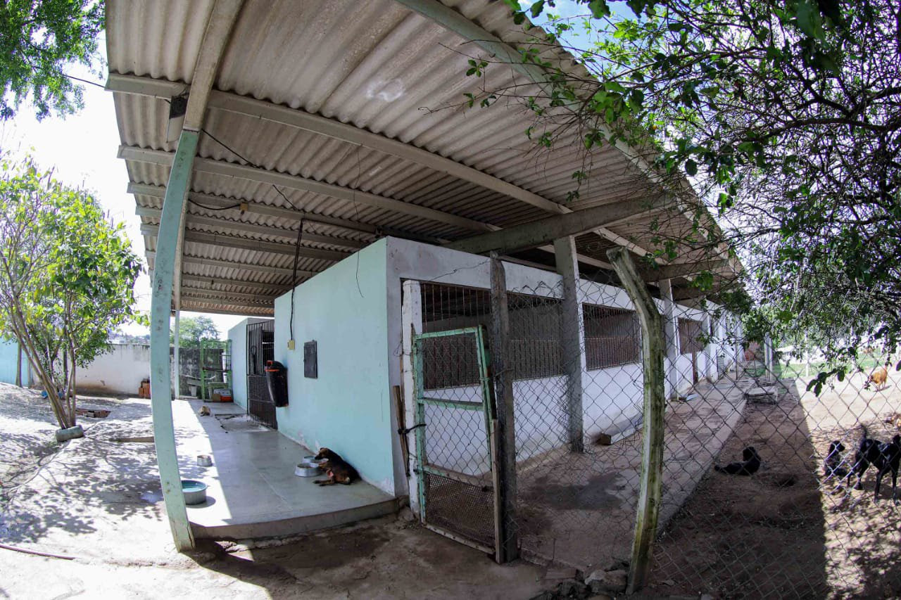 zoo4