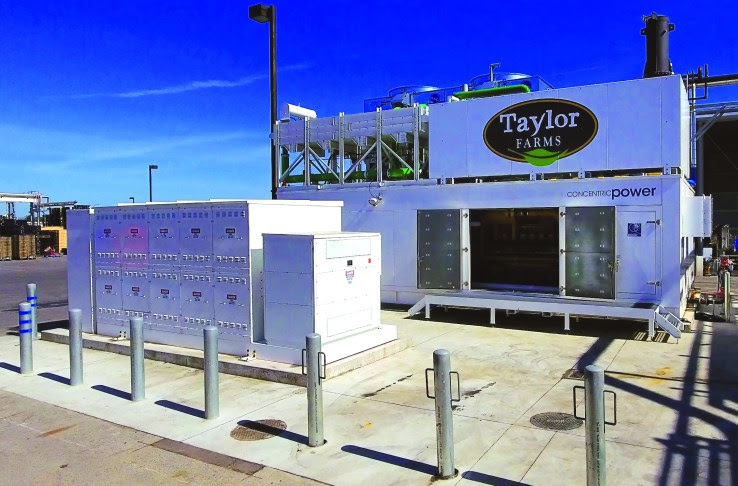 Taylor Farms’ co-generation plant