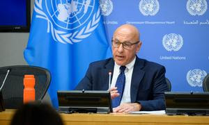 Специальный докладчик ООН Том Эндрюс.