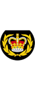 British Royal Marines OR-8.svg