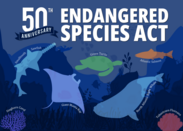 Endangered-Species-Week-Feature-v4