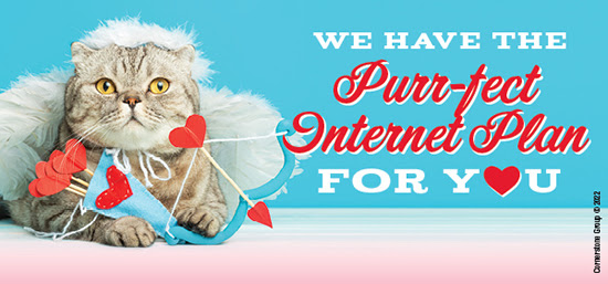 Purr-fect Internet