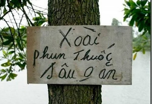 Đến sâu còn không ăn được.