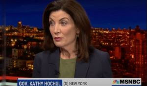 Kathy Hochul Goes Into Stupid Mode After MSNBC Host Calls Her Out on Live TV (VIDEO)