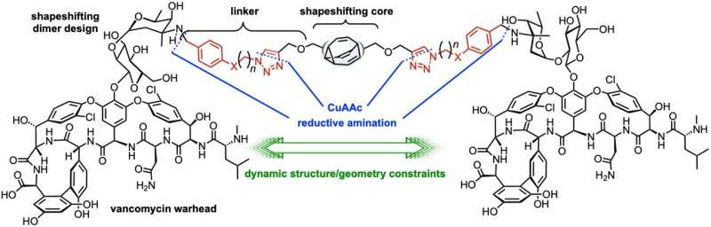 New shape-shifting antibiotics could fight deadly infections