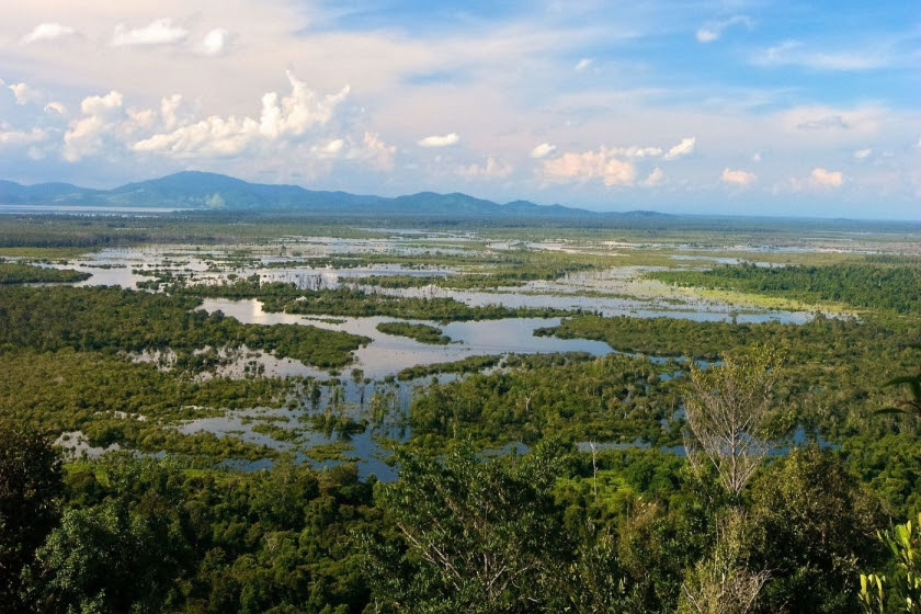 Δάσος τυρφώνων Danau Sentarum, δυτική επαρχία Καλιμαντάν, Ινδονησία