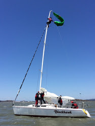 Johnny Heineken rescuing kite off J/105 masthead