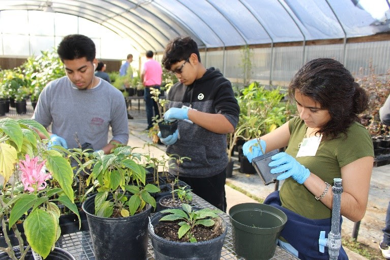Mercer Botanic Gardens: Volunteer Opportunities @ Mercer Botanic Gardens | Humble | Texas | United States