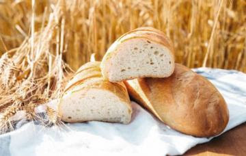 Precio internacional del trigo alcanza pico este mes y evalúan alza del pan