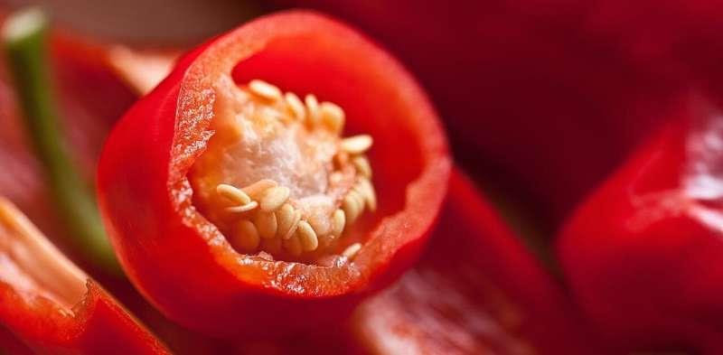 Addicted to chilli? Here's how it might help us regain our sense of taste after COVID