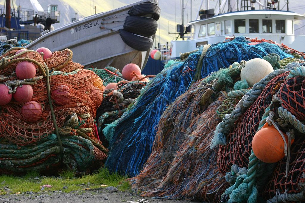 Demandan una ley de pesca
eficaz ante la crisis
ecológica