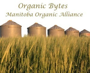 Organic Bytesfinal