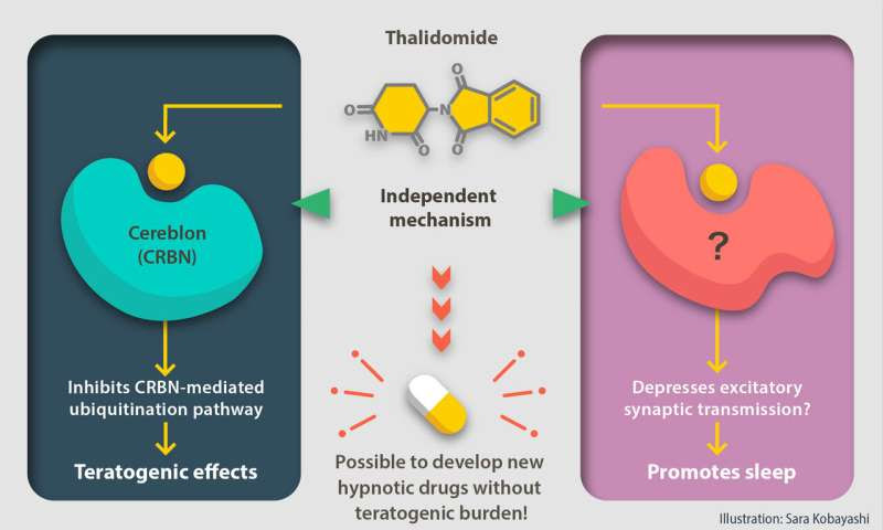 Don’t sleep on the hypnotic potential of thalidomide